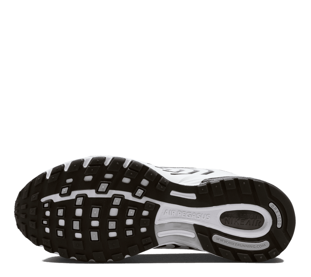 Nike Air Pegasus 2005