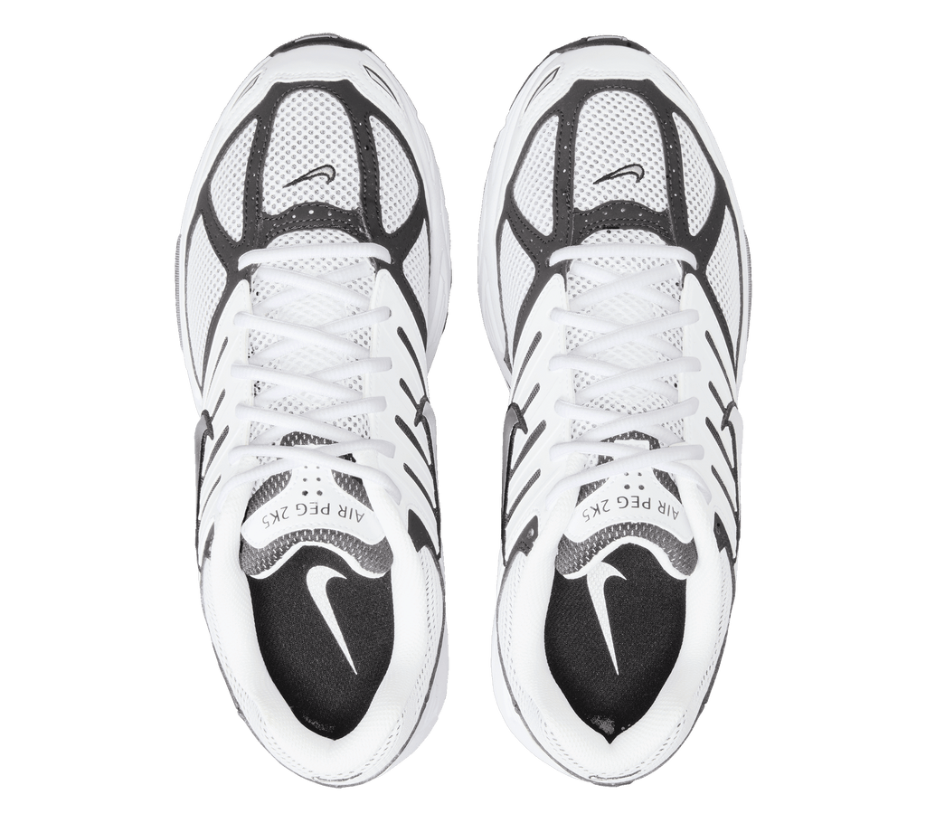 Nike Air Pegasus 2005