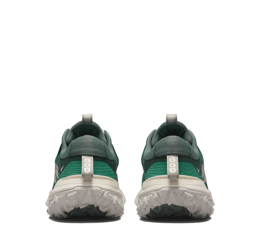 Nike ACG Mountain Fly 2 Low