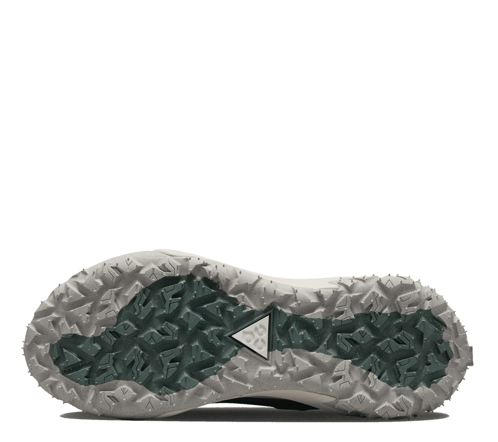 Nike ACG Mountain Fly 2 Low