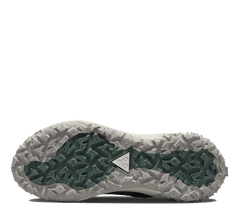 Nike ACG Mountain Fly 2 Low