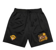 Mitchell & Ness Cavs 16 Mesh Shorts