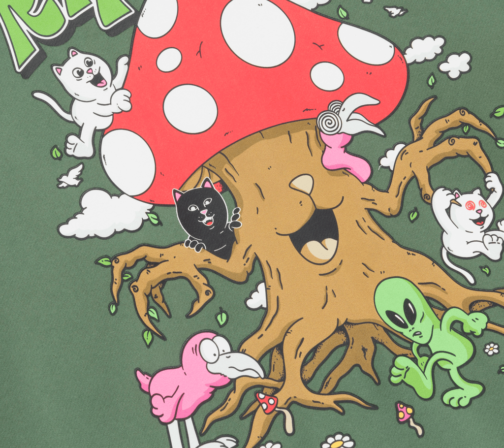 RIPNDIP Playground Hood