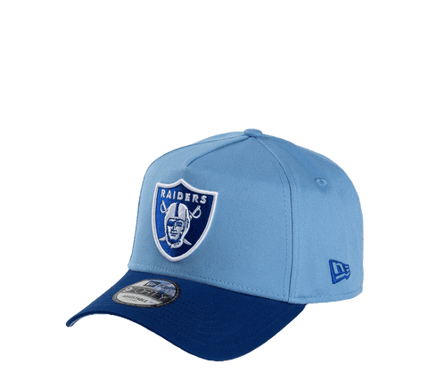 New Era 9FORTY A-Frame Adjustable "Deep Freeze"