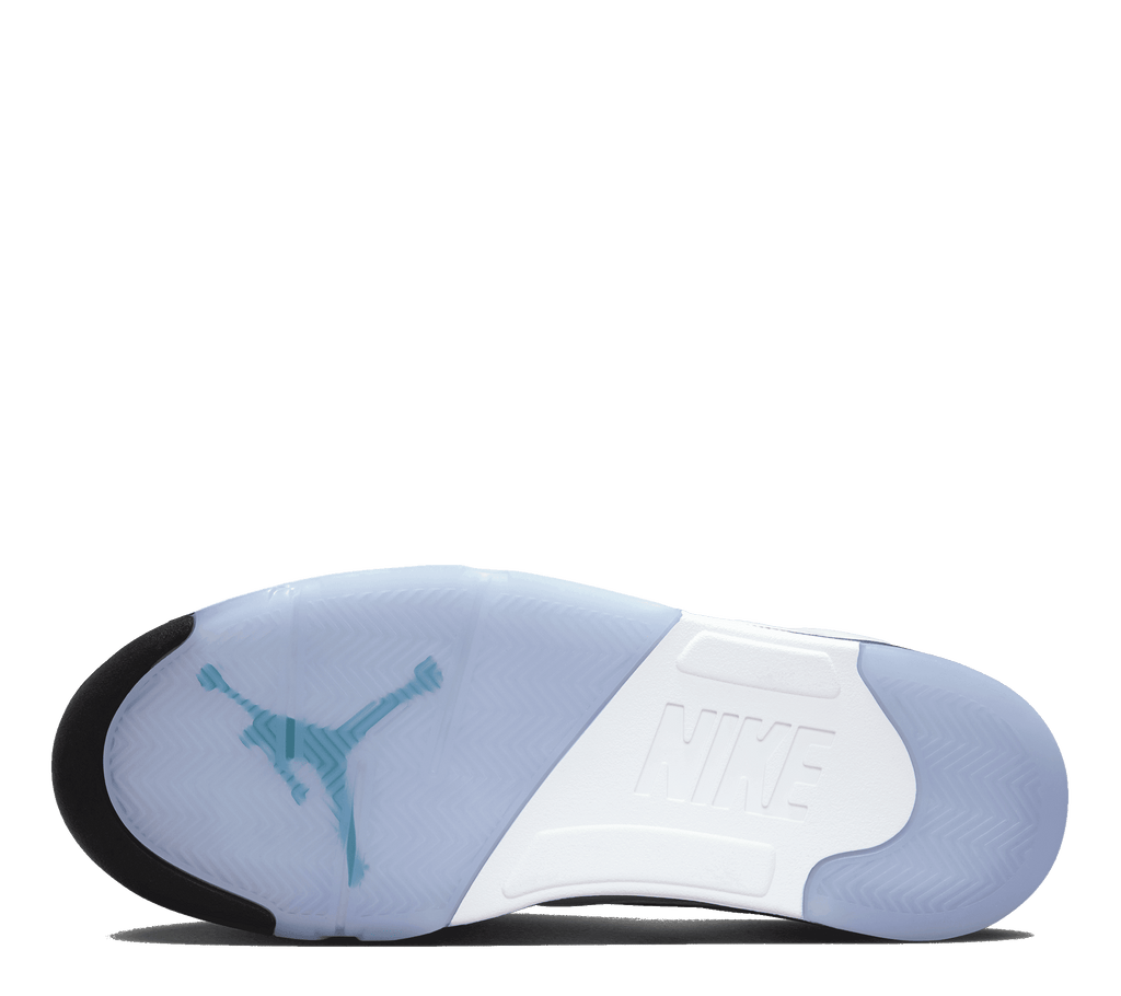 Air Jordan 5 Retro "Grape"