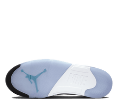 Air Jordan 5 Retro "Grape"