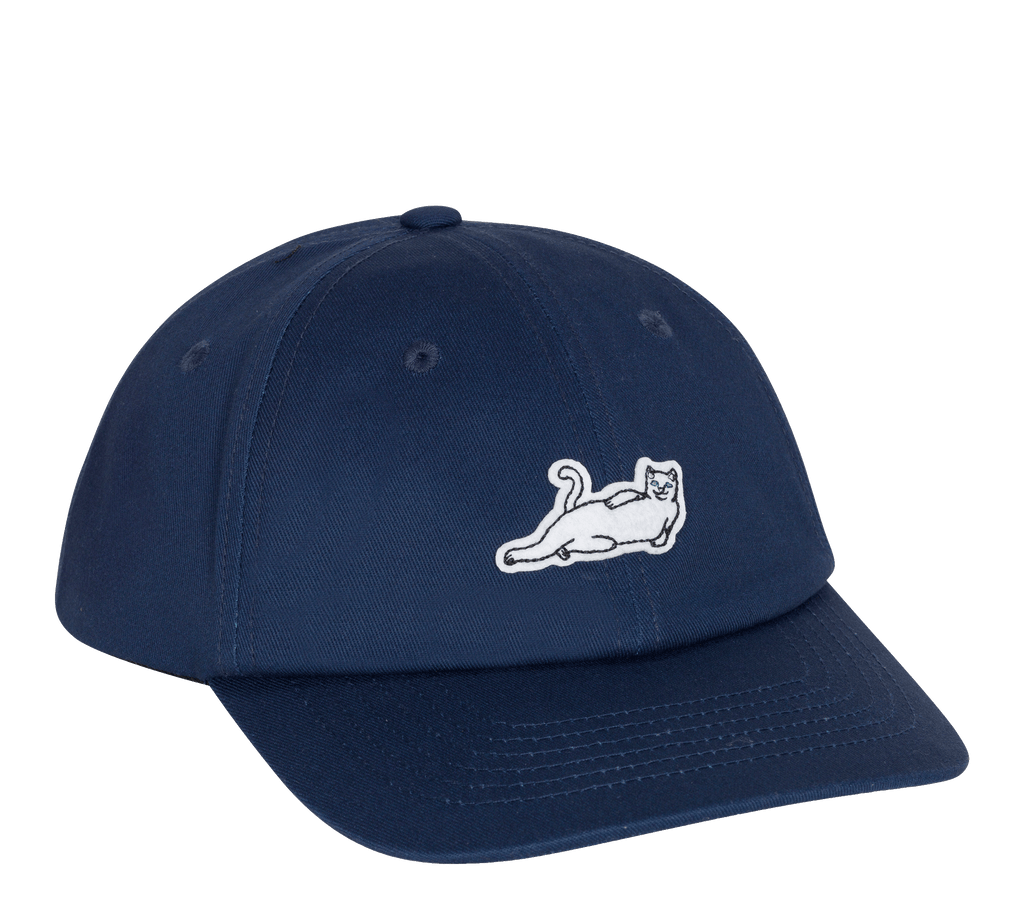RIPNDIP "Catstanza" Dad Hat