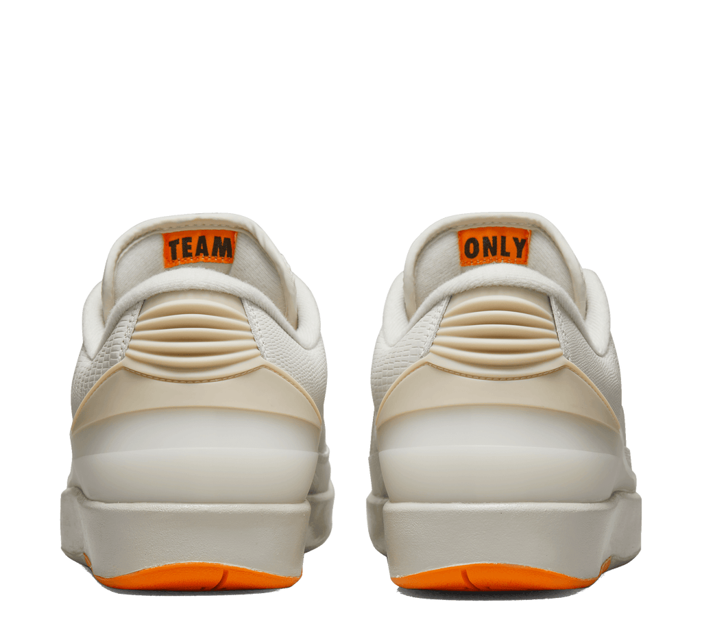 Shelflife x Air Jordan 2 Retro Low SP