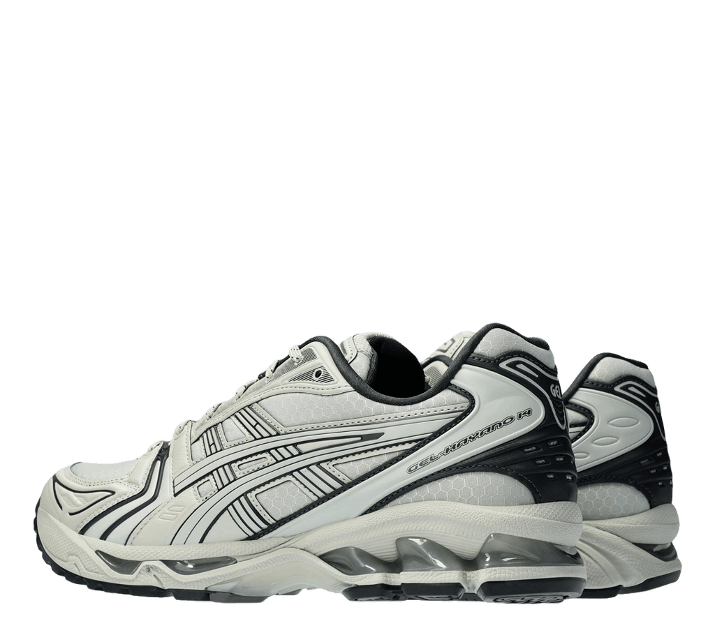 Asics 2025 kayano 10