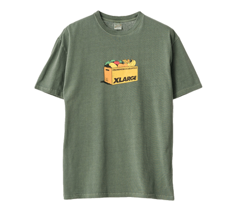 XLARGE Freshness T-Shirt