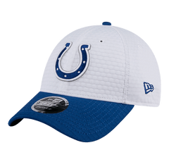 New Era 9FORTY NFL Hat "Training 2024"