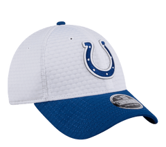 New Era 9FORTY NFL Hat "Training 2024"