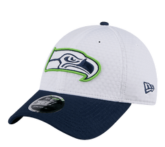 New Era 9FORTY NFL Hat "Training 2024"