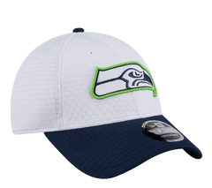 New Era 9FORTY NFL Hat "Training 2024"