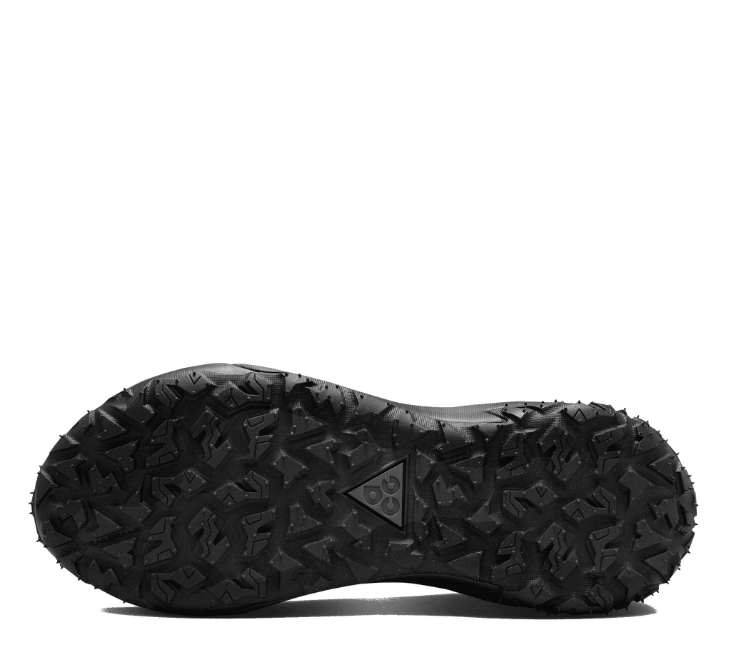 Nike ACG Mountain Fly 2 Low GTX