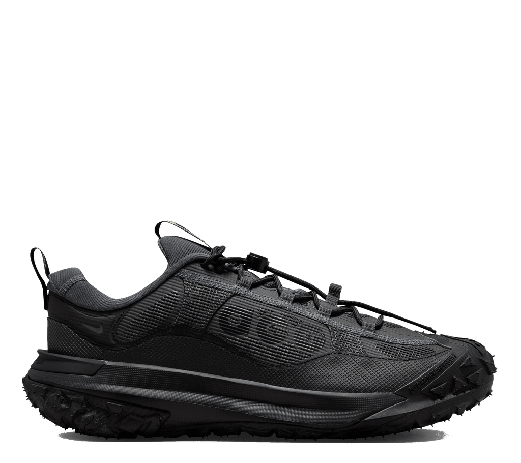 Nike ACG Mountain Fly 2 Low GTX