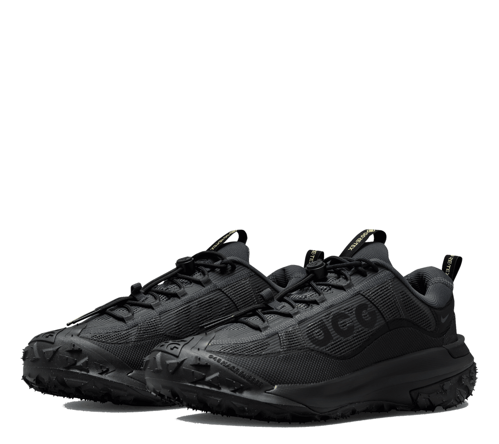 Nike ACG Mountain Fly 2 Low GTX