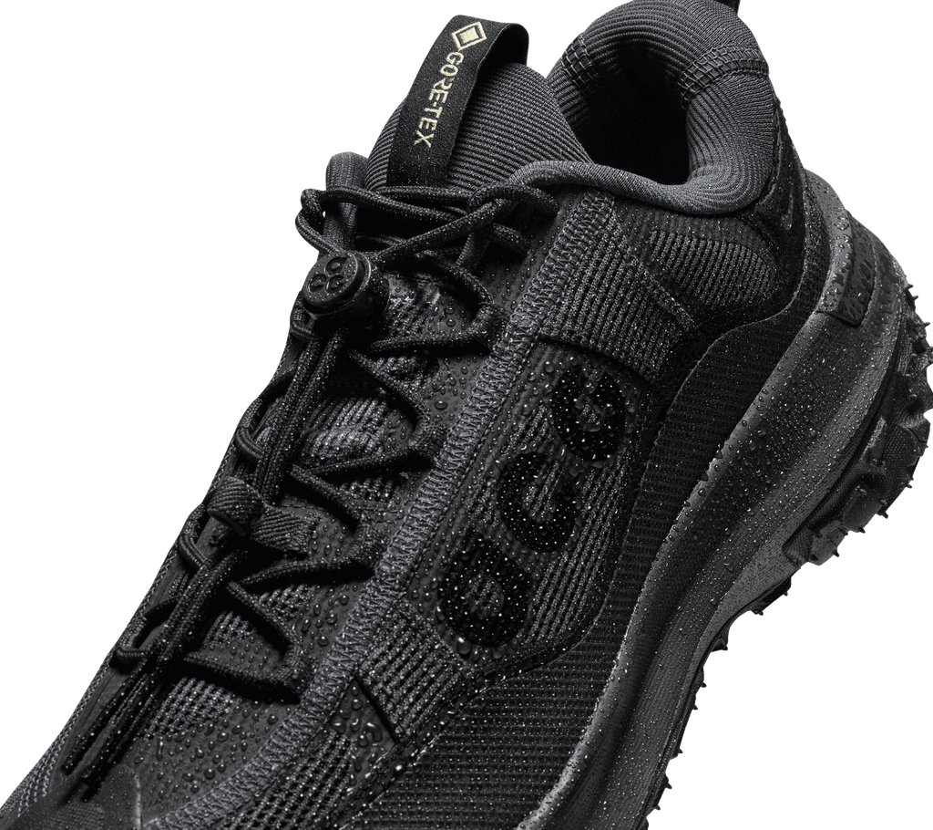 Nike ACG Mountain Fly 2 Low GTX