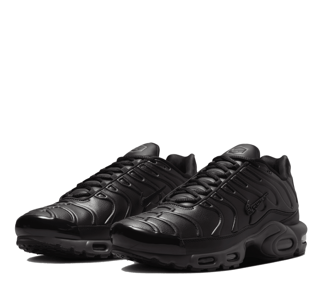 Nike Air Max Plus PRM QS OLY "Black Tea"