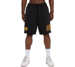 Mitchell & Ness Cavs 16 mesh shorts