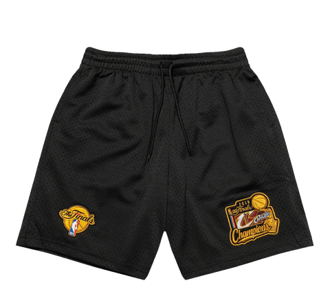 Mitchell & Ness Cavs 16 mesh shorts