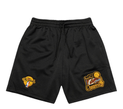 Mitchell & Ness Cavs 16 mesh shorts