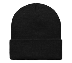 Carhartt WIP Script Beanie