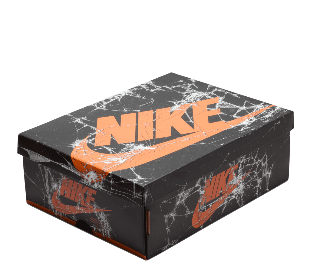 Air Jordan 1 Retro High OG "Shattered Backboard"
