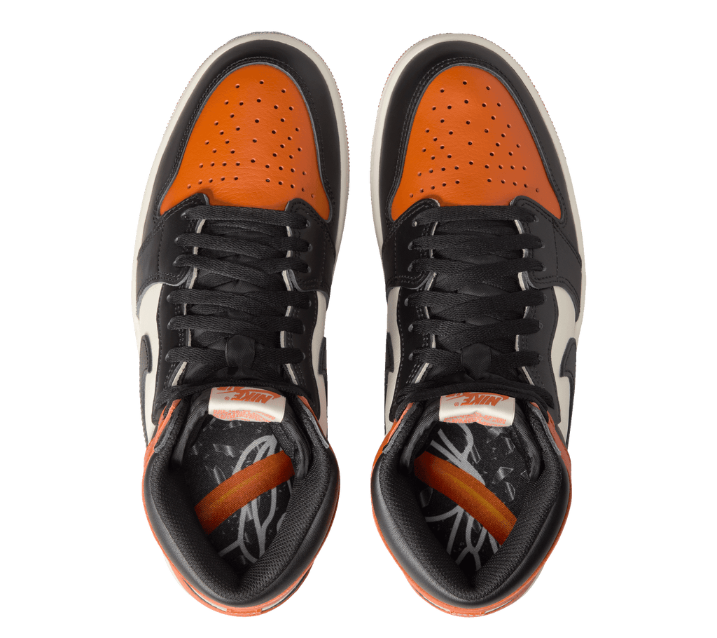 Air Jordan 1 Retro High OG "Shattered Backboard"