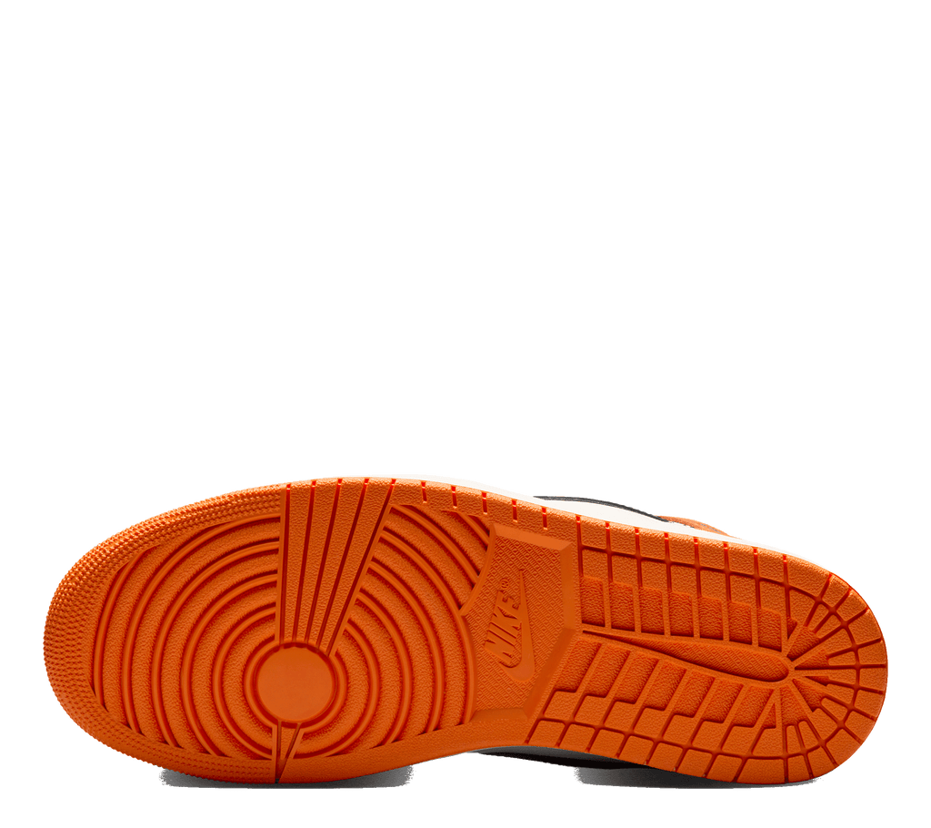 Air Jordan 1 Retro High OG "Shattered Backboard"