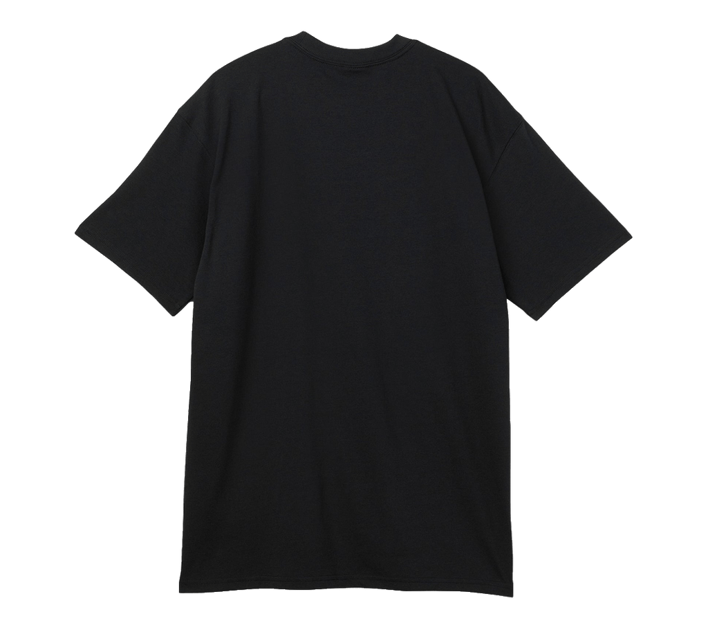 Nike ACG T-Shirt "Alien"
