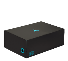 Air Jordan 11 Retro "Gamma"