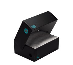 Air Jordan 11 Retro TD "Gamma" (Toddlers)