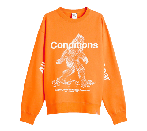 Nike ACG Therma-FIT Pullover Crewneck "Sasquatch"