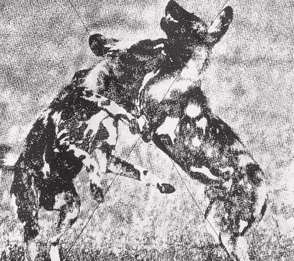 Carhartt WIP "No Play" Sweatshirt