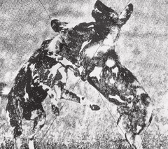 Carhartt WIP "No Play" Sweatshirt