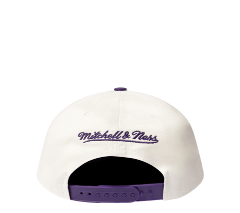 Mitchell & Ness Pro Pinch Adjustable "Champions"