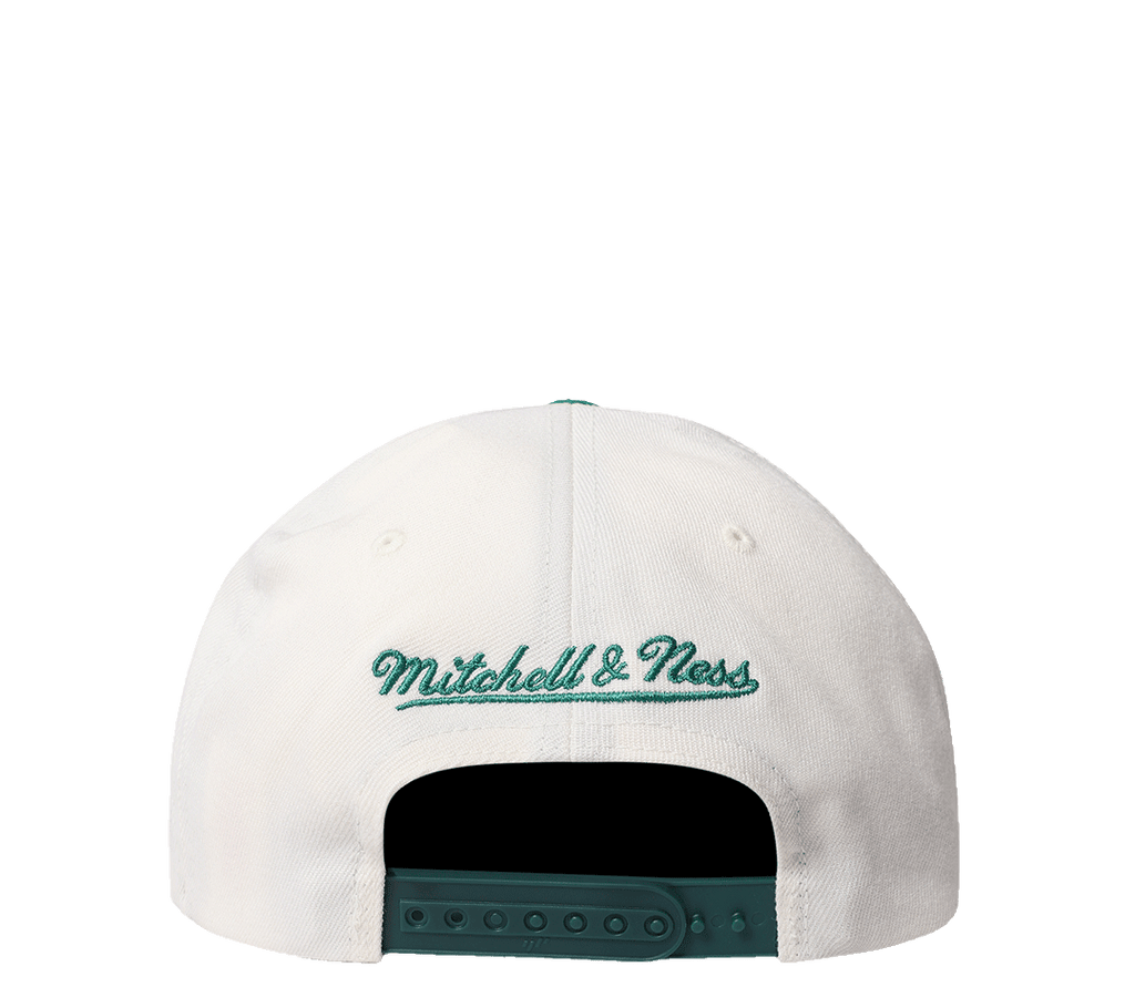 Mitchell & Ness Flex 110 Adjustable "Team Arch"