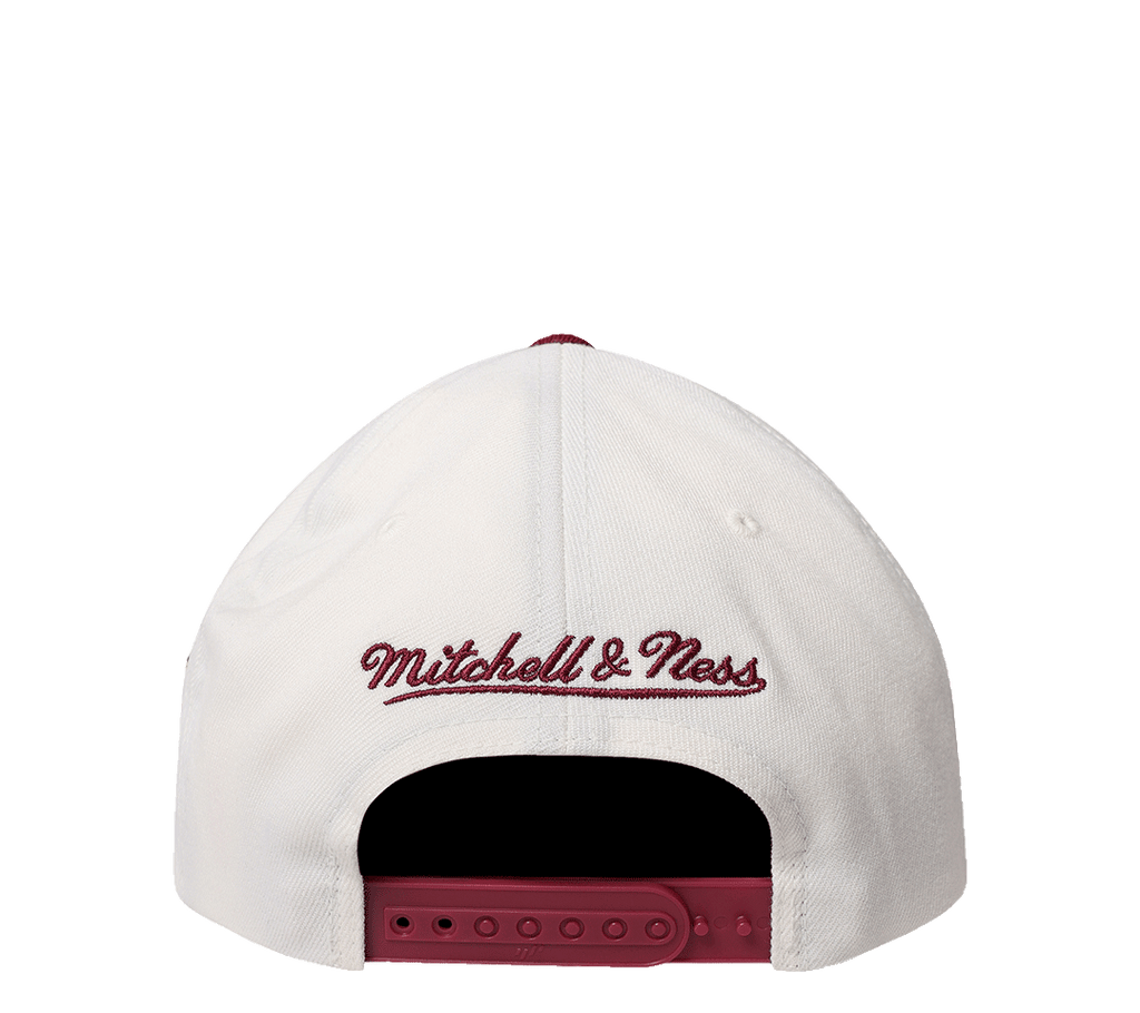 Mitchell & Ness Flex 110 Adjustable "Team Arch"