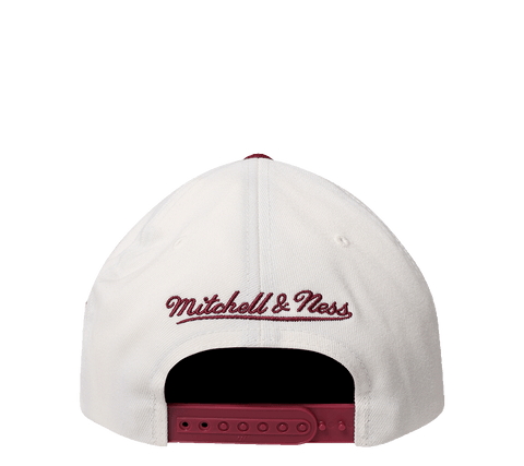 Mitchell & Ness Flex 110 Adjustable "Team Arch"