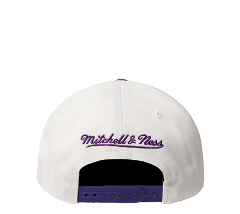 Mitchell & Ness Flex 110 Adjustable "Team Arch"