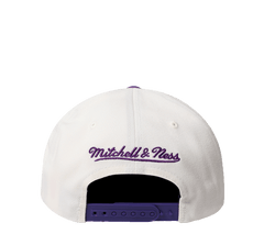 Mitchell & Ness Flex 110 Adjustable "Team Arch"