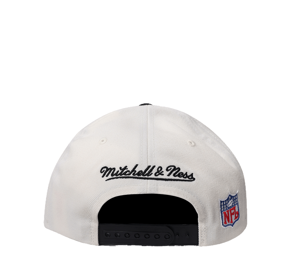 Mitchell & Ness Flex 110 Adjustable "Team Arch"