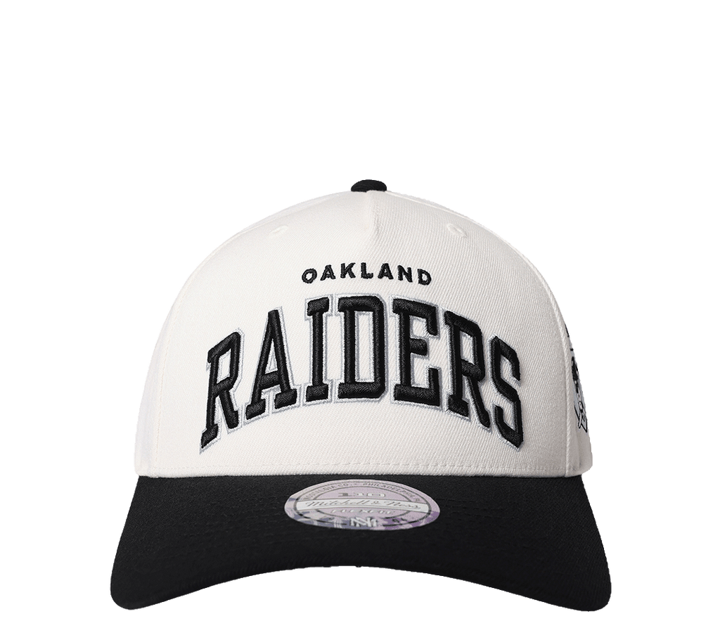 Mitchell & Ness Flex 110 Adjustable "Team Arch"