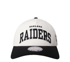 Mitchell & Ness Flex 110 Adjustable "Team Arch"