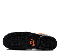 Nike BLTRO QS