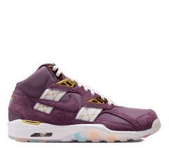 Nike Air Trainer SC SP