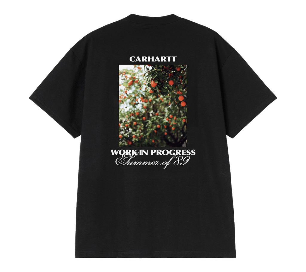 Carhartt WIP "Warm Views" T-Shirt