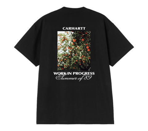Carhartt WIP "Warm Views" T-Shirt