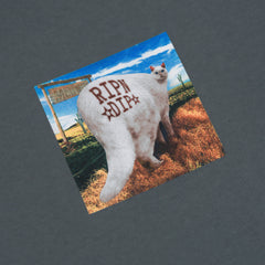 RIPNDIP "Rowdy Howdy" T-Shirt